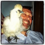 Silkie chicken on Roger's shoulder