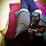 cat on lap and granny slippers