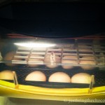 Brinsea 20 advance incubator